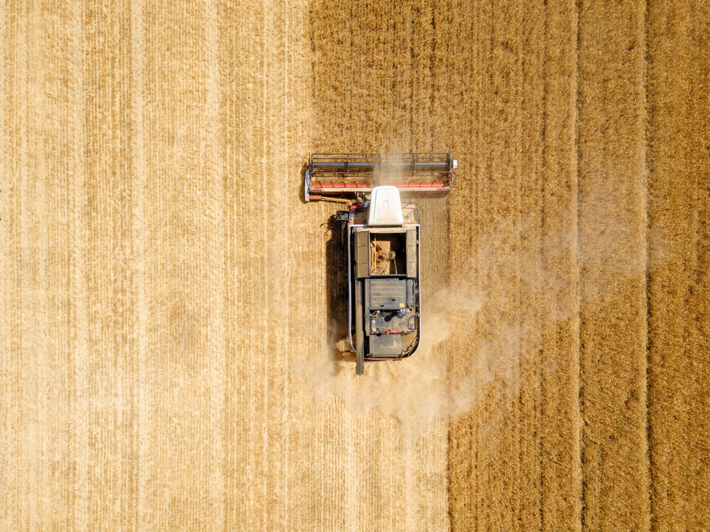 DJI_0050 (1).jpg